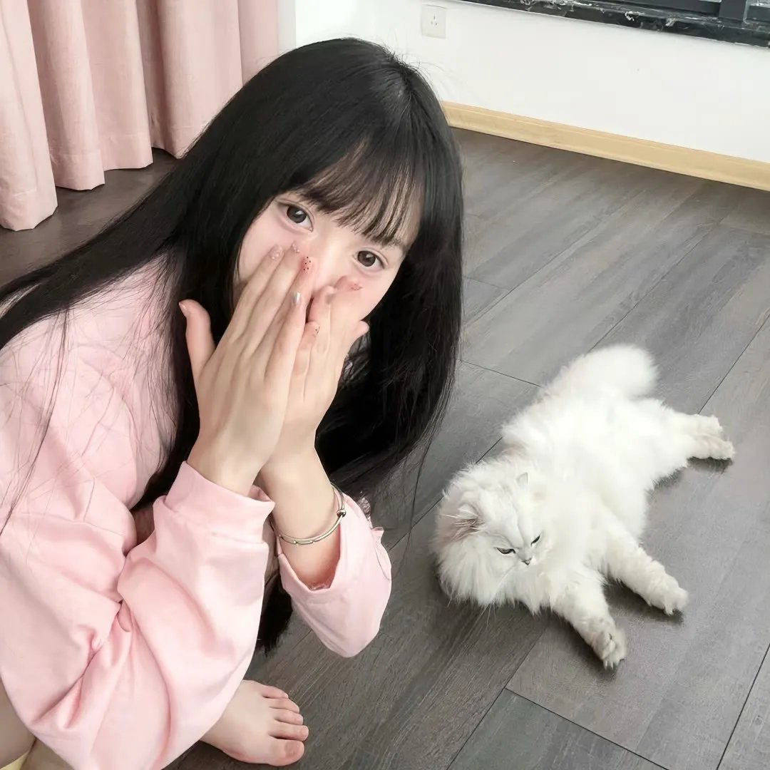 行走的鸡毛掸子